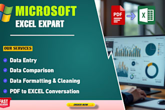 do microsoft excel data entry, data cleaning, formatting
