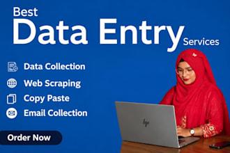 be your professional data entry specialist and logo designer