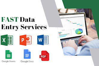 fast data entry, web research, PDF to excel and copypaste