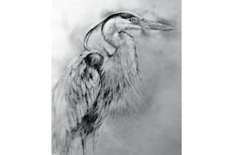 draw realistic wild animal pencil illustrations