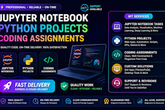 jupyter notebook project,python project, coding assignments