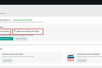 create and setup tiktok verified ads manager