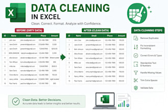 professionally clean, validate, and standardize your excel data