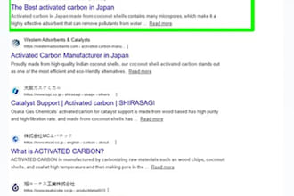 provide SEO service and strategies