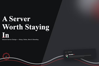 set up a professional discord server for your community