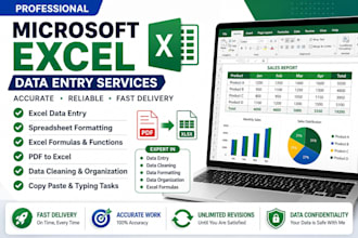 do microsoft excel tasks and data entry