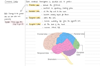 transform your lectures into aesthetic digital study notes