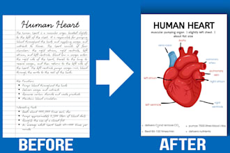 design educational and science infographics in canva