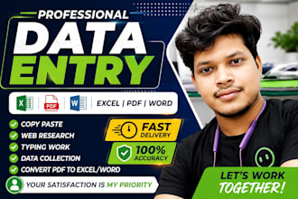 do professional data analysis data entry and excel data formatting