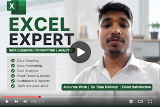 perform excel data cleaning, data formatting, and data analysis
