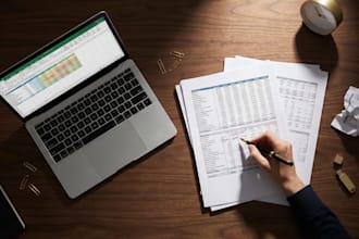 do accurate data entry, copy paste, and PDF to excel