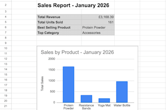 build you a custom google sheets or excel report with charts