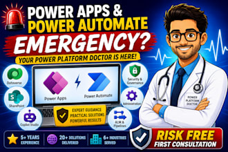 provide expert power apps and power automate consultation