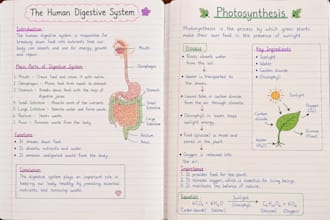 write handwritten notes in english and hindi