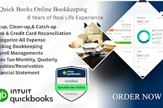 cleanup, reconciliation, payroll, bookkeeping in quickbooks