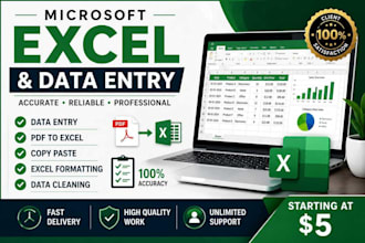 do microsoft excel data entry, formatting, copy paste and PDF to excel