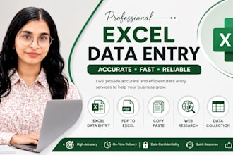 do microsoft excel data entry, formatting, copy paste and PDF to excel