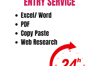 create accurate data entry, excel spreadsheet cleanup, and PDF conversion