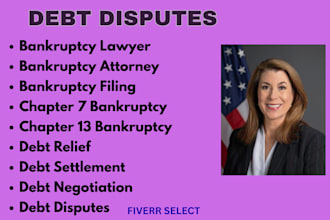 handle bankruptcy cases, debt disputes, insolvency, and financial recovery cases