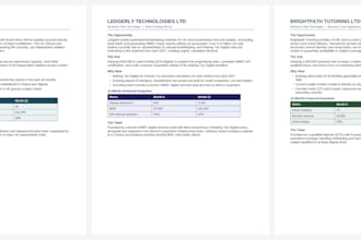 write a professional business plan or investor pitch deck