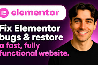 fix wordpress elementor bug design elementor pro website elementor pro developer