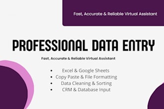 do professional remote data entry excel data cleaning