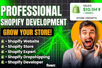 shopify website store dropshipping store shopify