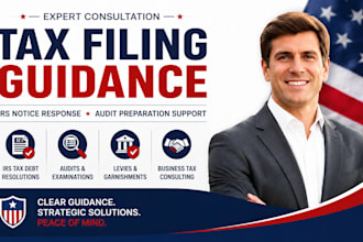 provide tax filing guidance, irs notice response, and audit preparation support
