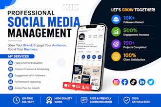 create and manage facebook ads manager for bussiness