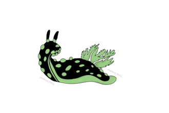 do drawings of animals