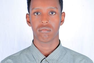 provide multilingual customer support in english arabic and somali