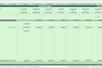 do something much more professional work of tally and excel