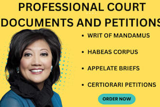 draft court documents, complaints, pleadings, and represent clients in court