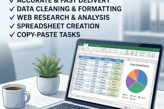 do professional data entry and excel data entry work