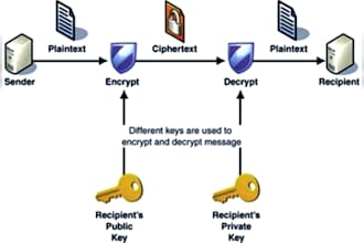 provide website vulnerability assessment and security scan