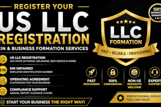 provide professional llc registration guidance document preparation for business