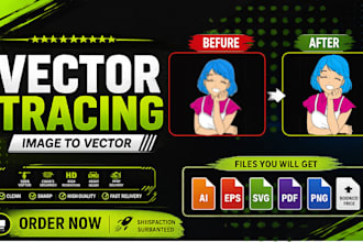 convert image or logo to clean professional vector tracing