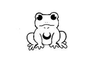draw you a frog