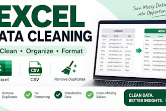 do excel data cleanup and formatting