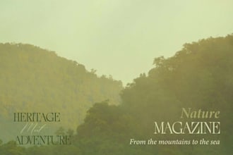 design a magazine, ebook, or lookbook layout in canva