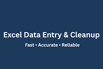 do accurate excel data entry and data cleanup