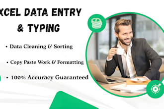 do export excel data entry and data typing work