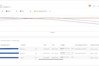 audit and optimize your google ads or native ad campaigns