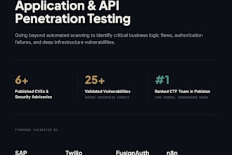do a manual web app and API penetration test with detailed report