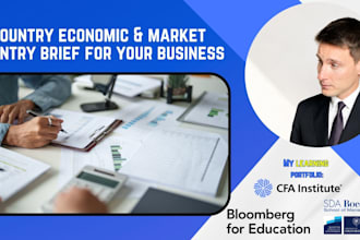 create a country economic brief and market entry report