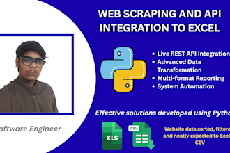 scrape web data and integrate api to excel