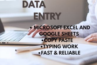do accurate data entry on ms excel