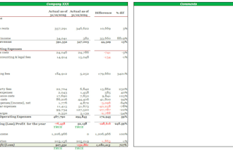 do an audit ready financial review and statement analysis