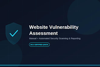 perform a website vulnerability assessment and security scan