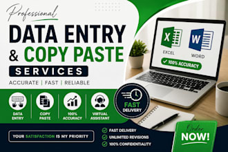 do professional data entry and copy paste work